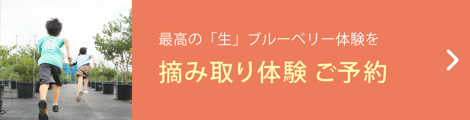 きらぼしファームの摘み取り体験のご予約はこちらおら！