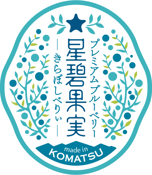 プレミアムブルーベリー 星碧果実-きらぼしべりぃ-